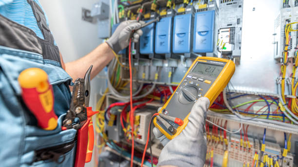 Best Electrical Repair Services  in Centrevle, IL